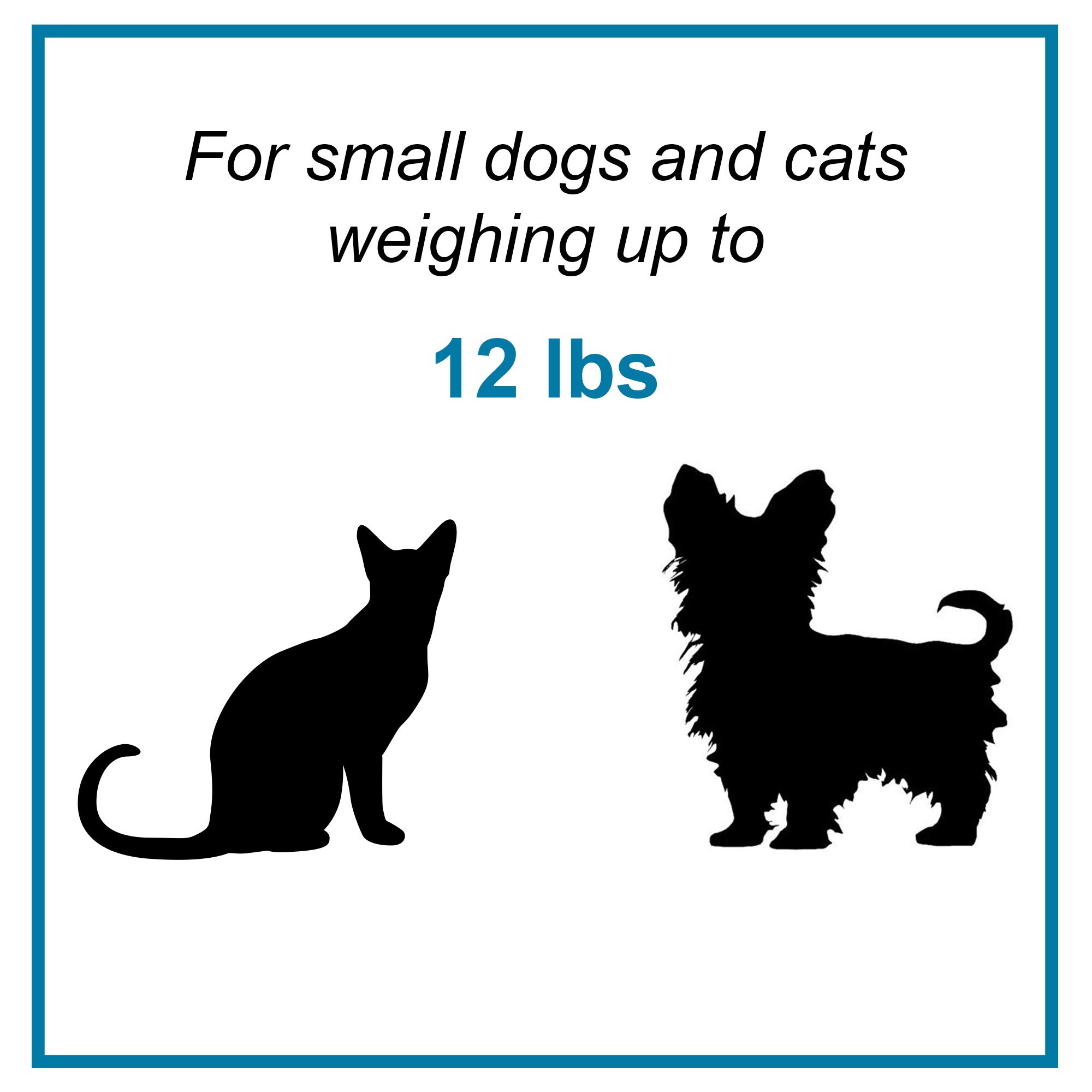 Cat Door Swing 3" w/ 4-Way Locking System | Universal Pet Door in Brown for Interior & Exterior Use Ideal for Small Cats & Dogs Up to 12 Pounds | 1-Year Manufacturer's Warranty - Image 4