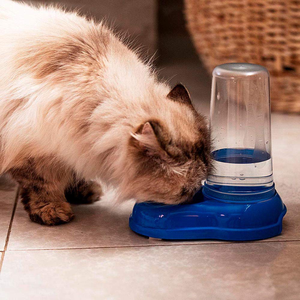 Ferplast Food or Water Dispenser for Dogs and Cats AZIMUT 600 Pet Dispenser Dry Food Feeder Water Feeder 0,6 Liter, Non-Slip Bottom, 12,5 x 19 x h 19,5 cm White - Image 4