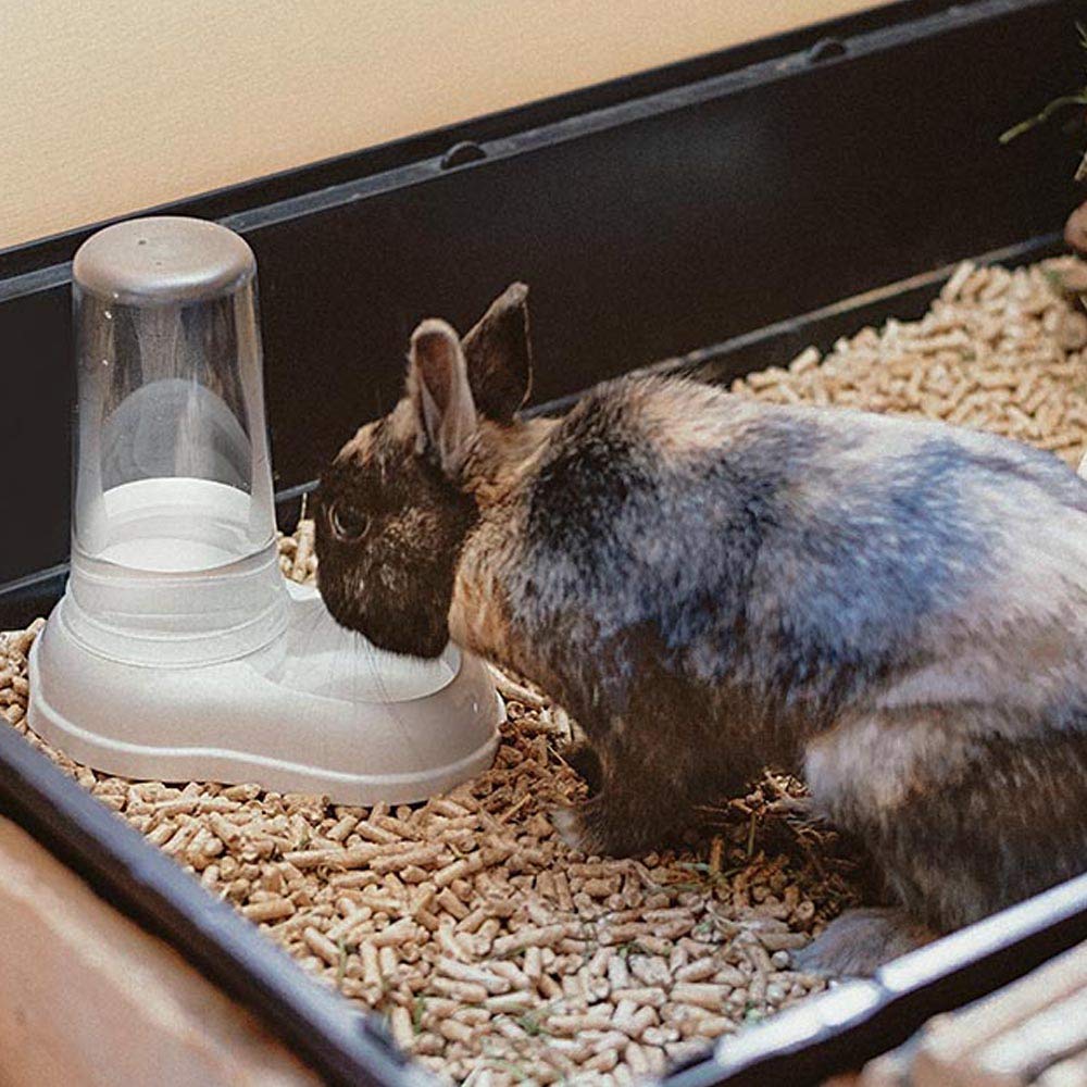 Ferplast Food or Water Dispenser for Dogs and Cats AZIMUT 600 Pet Dispenser Dry Food Feeder Water Feeder 0,6 Liter, Non-Slip Bottom, 12,5 x 19 x h 19,5 cm White - Image 5