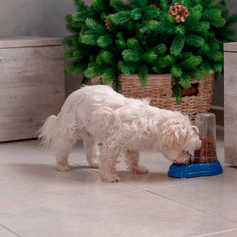 Ferplast Food or Water Dispenser for Dogs and Cats AZIMUT 600 Pet Dispenser Dry Food Feeder Water Feeder 0,6 Liter, Non-Slip Bottom, 12,5 x 19 x h 19,5 cm Blue - Image 3