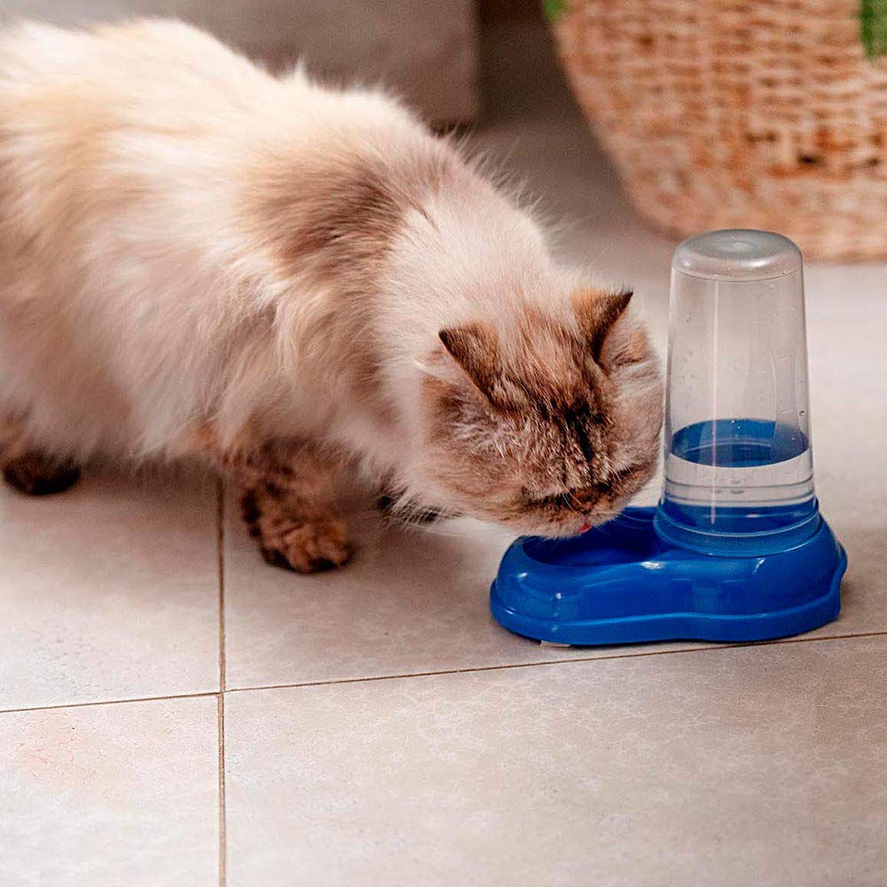 Ferplast Food or Water Dispenser for Dogs and Cats AZIMUT 600 Pet Dispenser Dry Food Feeder Water Feeder 0,6 Liter, Non-Slip Bottom, 12,5 x 19 x h 19,5 cm Blue - Image 4