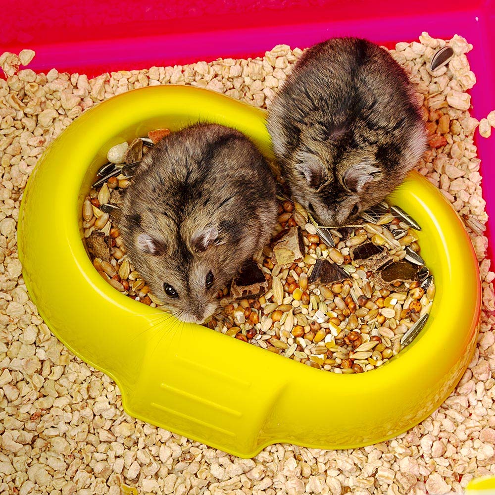 Ferplast Laura Small Hamster Cage | Fun & Interactive Cage Measures 18.11L x 11.61W x 14.8H & Includes All Accessories - Image 10